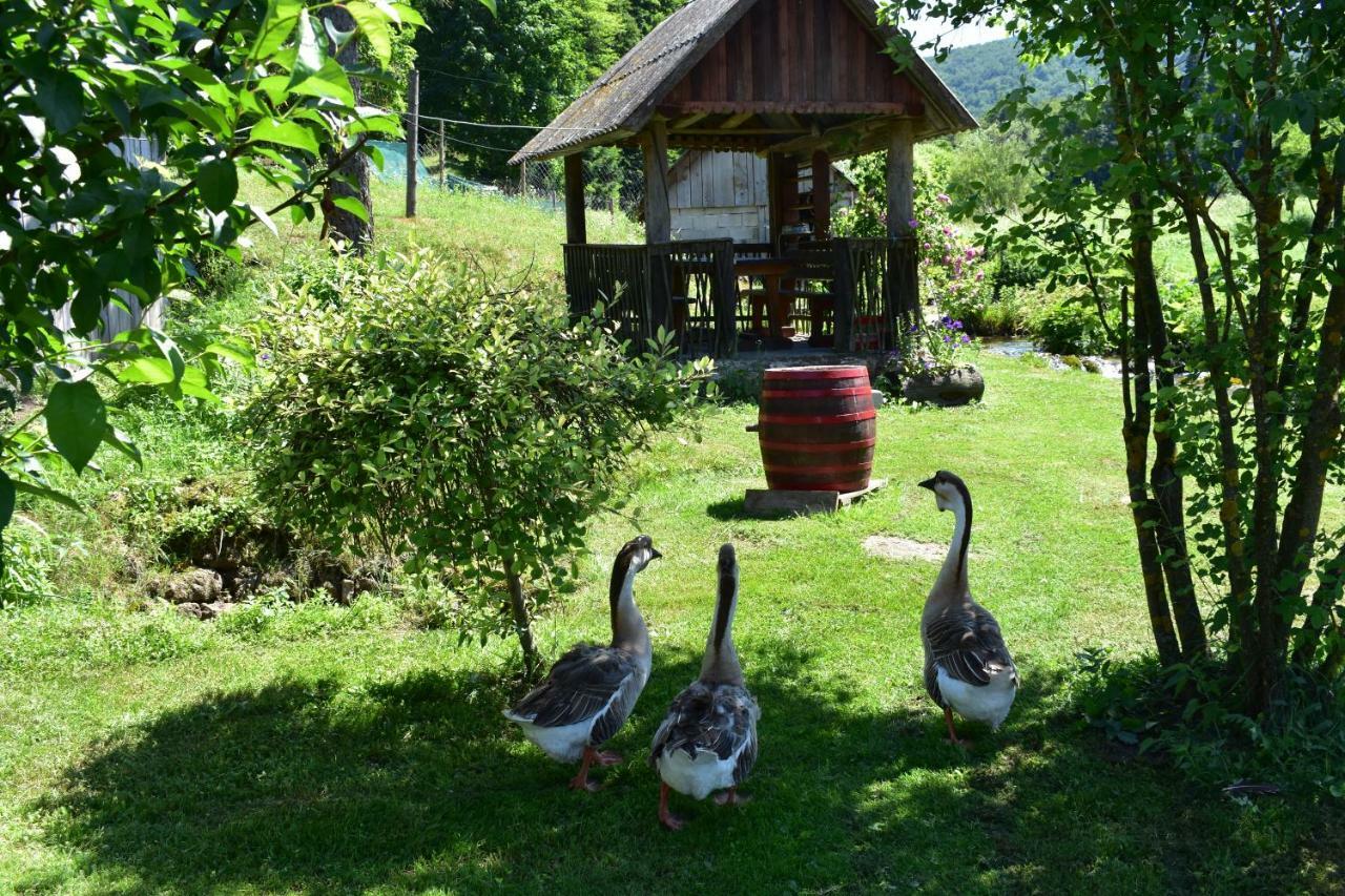 Plitvice Panta Rei Guest House Plitvicka Jezera Luaran gambar